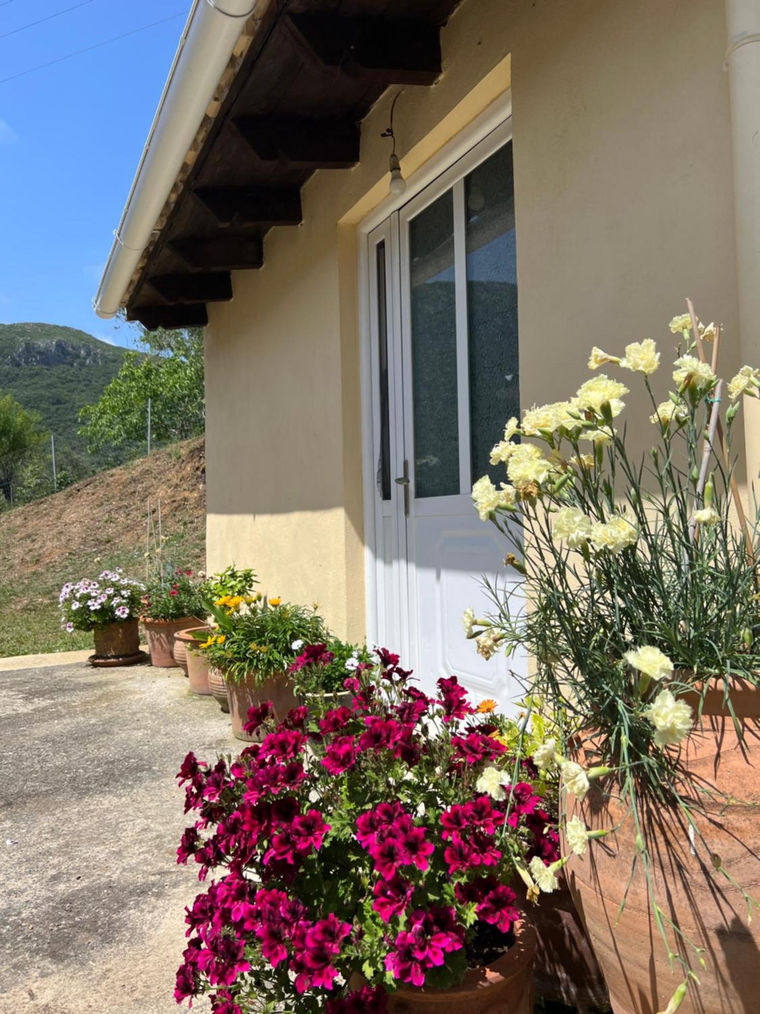 Villa Alexakis Doukádes Exterior foto